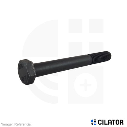 PERNO HEX M6 X 30 RC (1.00) C10.9