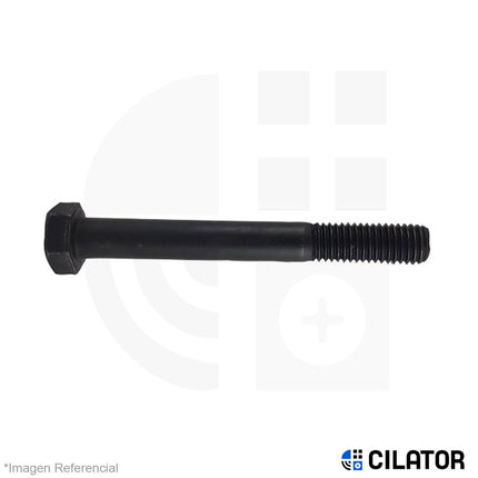 PERNO HEX M30 X 250 RC (3.50) C10.9